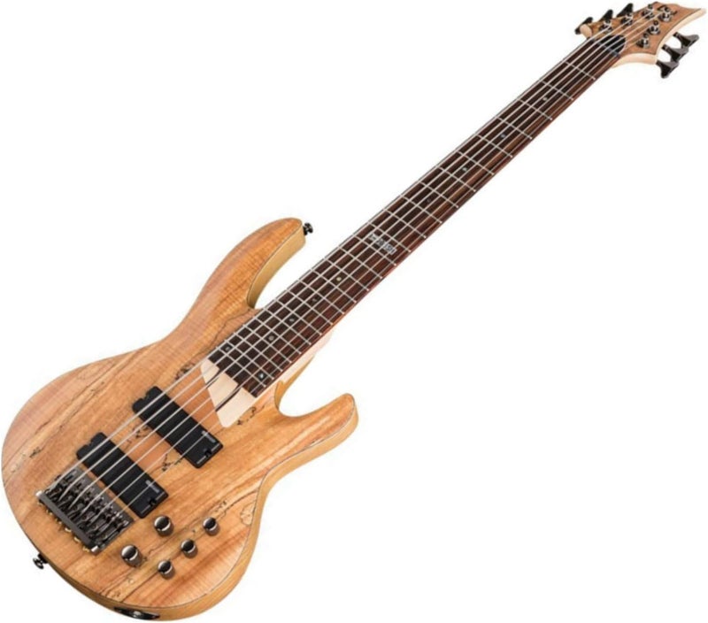ESP جيتار باص كهربائي ESP LTD B206SM 6 أوتار من خشب القيقب المتناثر بتشطيب طبيعي ساتان - Image 2