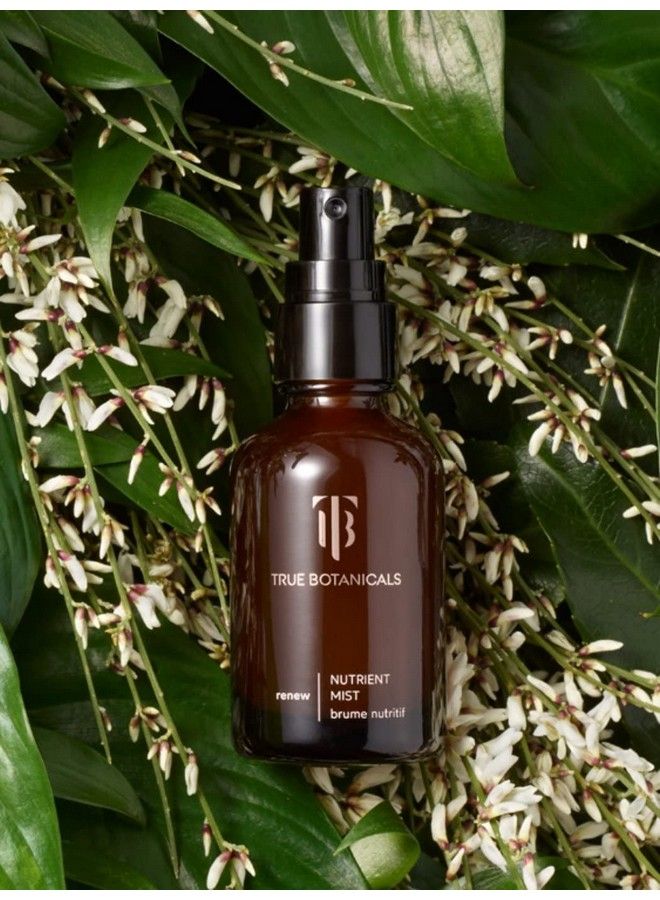 True Botanicals رذاذ وجه مغذي طبيعي متجدد | العناية بالبشرة الطبيعية غير السامة (1.7 أونصة سائلة | 50 مل) - Image 4