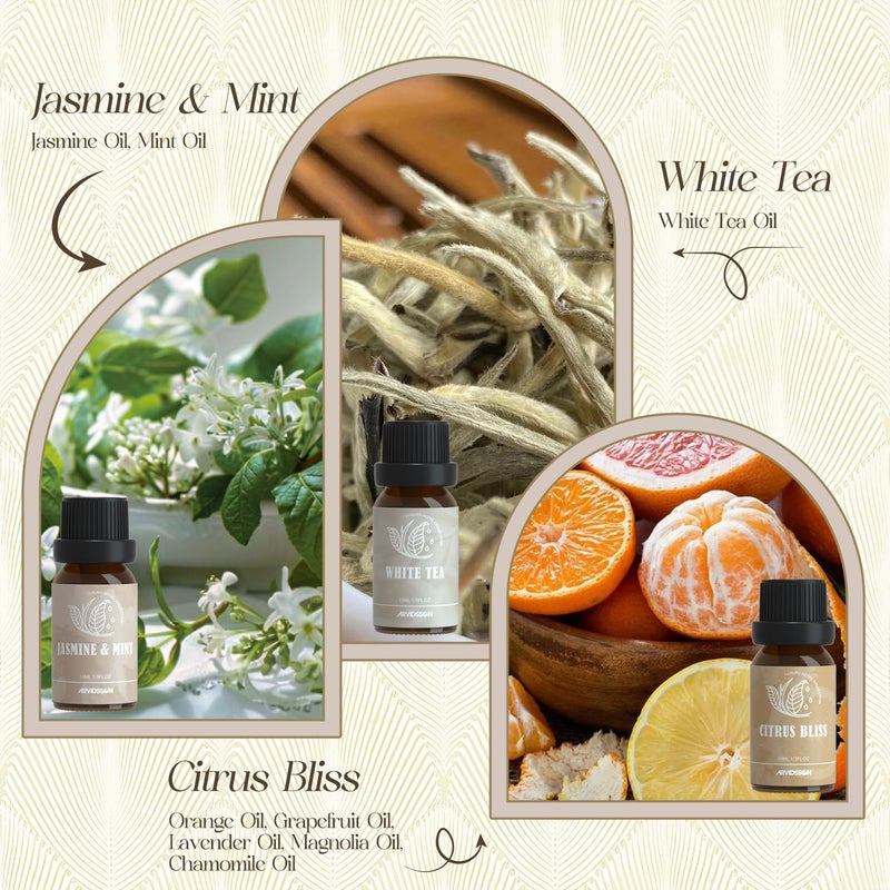 ARVIDSSON Hotel Diffuser Oils Gift Set, Hotel Scent Essential Oils for Diffuser, Luxury Fragrance Oil Blend - Jasmine & Mint, White Tea, Citrus Bliss, M-Way, Fancy Lobby, Gift for Women and Men - Image 4