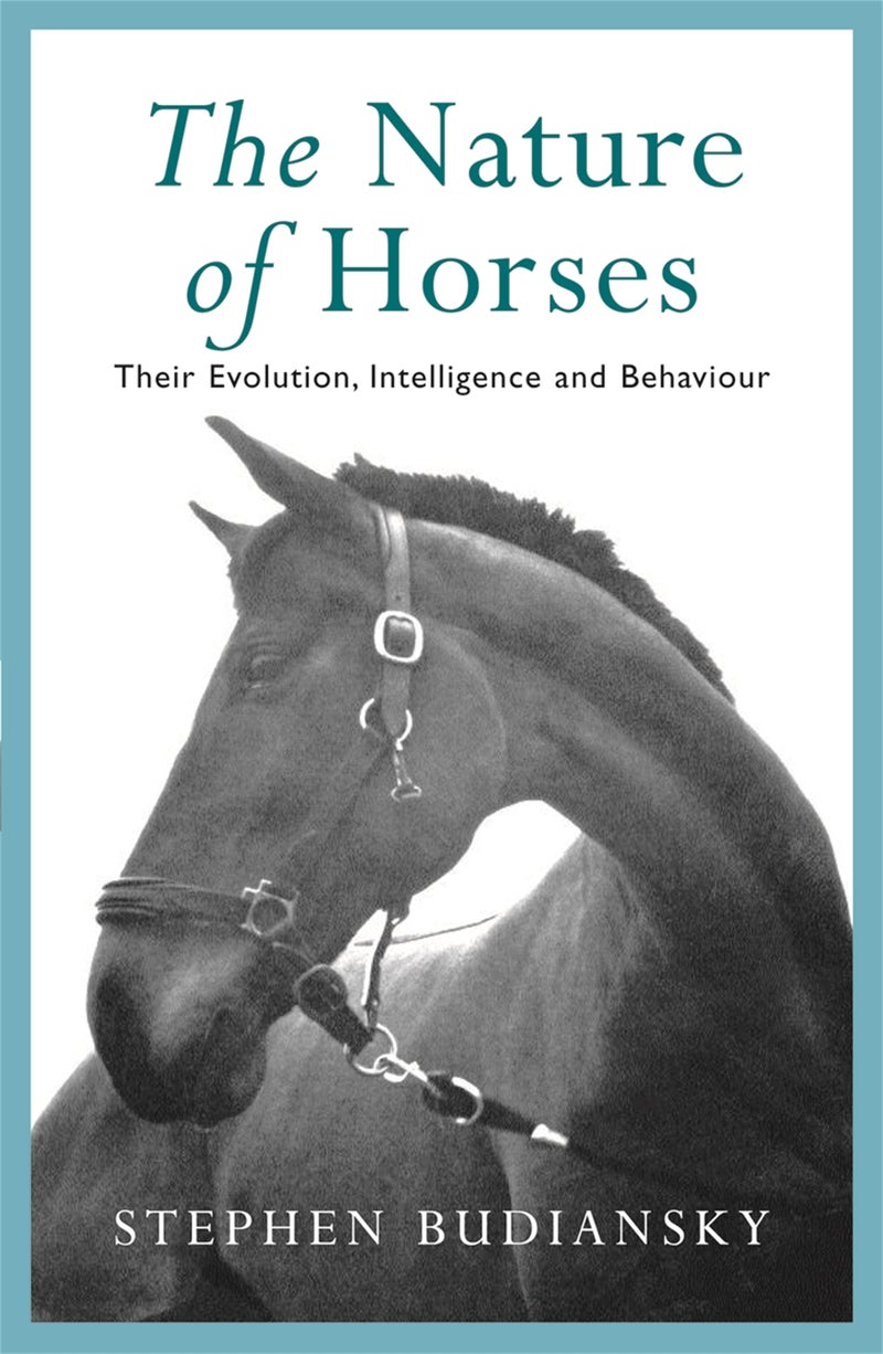 Nature of Horses 