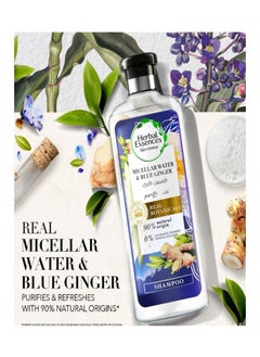 Herbal Essences Bio:Renew Micellar Water And Blue Ginger Shampoo 400 Ml + Conditioner 400Ml - pzsku/Z7DDBF51DD1FA27BE7927Z/45/_/1722472749/34ad6ef5-ccd3-4c32-af6b-6dd58aae8cb6