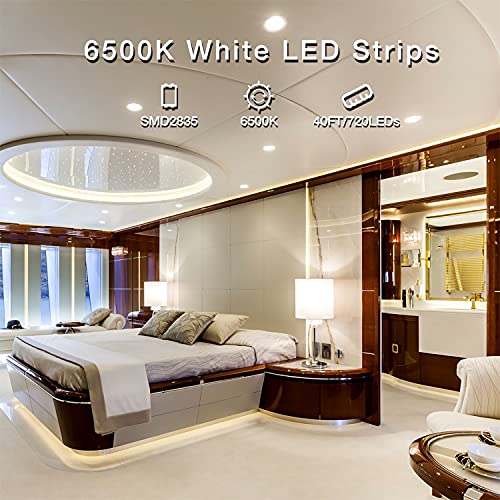 DAYBETTER شريط إضاءة LED أبيض DAYBETTER، 40 قدم إضاءة خفيفة قابلة للتعتيم، 6500K 24V، 720 LED 2835 لأضواء الشريط لغرفة النوم، المطبخ، المرآة، تزيين المنزل (2 لفة بطول 20 قدم) - Image 3