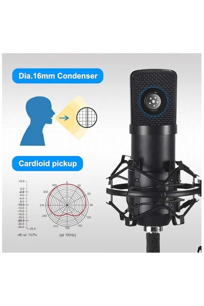 Arabest Microphone Kit, USB Condenser Microphone Kit, Professional Computer Mic, 192kHz 24bit Studio Cardioid Mic, with Boom Arm, Shock Mount, Pop Filter, Adjustable Stand for Streaming, Podcast, PC (Black) - Image 2