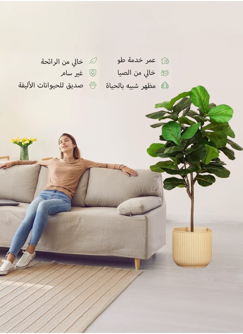 شجرة فيكوس ليراتا صناعية 150 سم - ديكور عصري داخلي/خارجي للمنزل والمكتب | زينة رمضان واقعية + هدايا ترحيبية لتزيين مائدة الإفطار (ديكورات منزلية لرمضان)