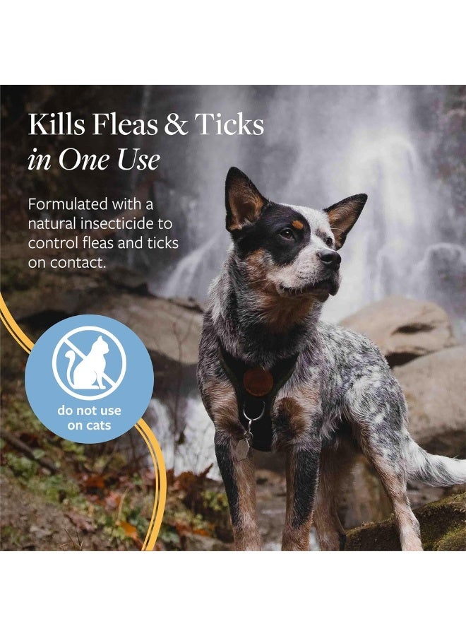 سينرجي لابس  بخاخ للبراغيث والقراد من مختبرات سينيرجي البيطرية 237 مل (8 أونصة سائلة) - Image 5