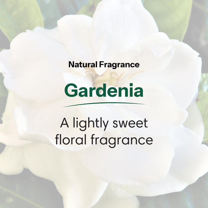 ShiKai Daily Moisturizing Shower Gel (Gardenia, 12oz, Pack of 2) | Gentle Formula | Aloe Vera & Oatmeal for Soft, Healthy Skin | Dry Skin Relief - Image 3