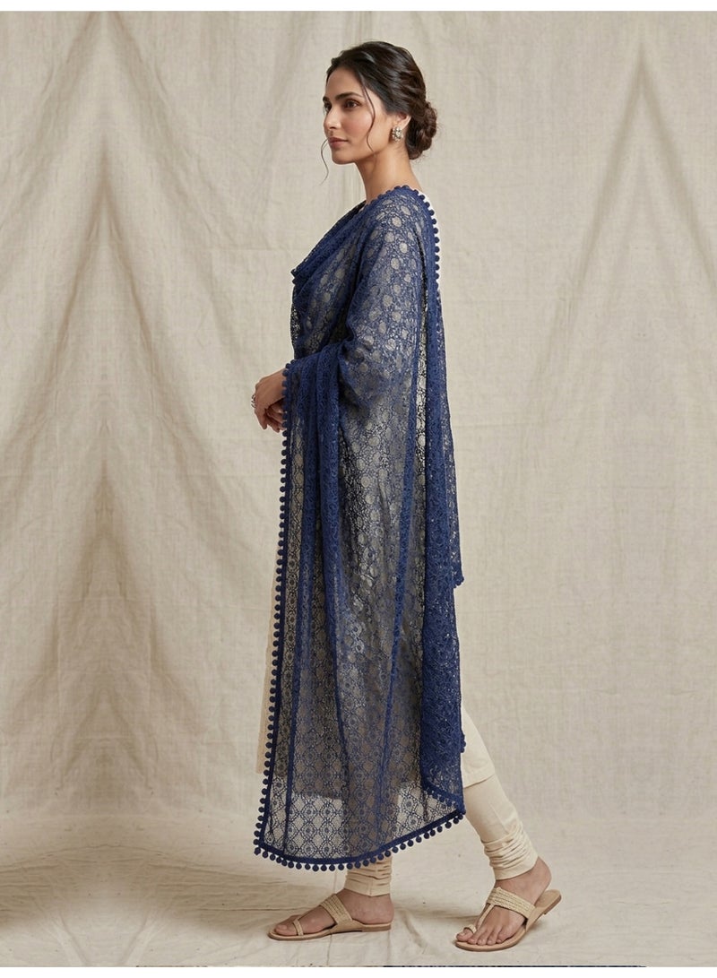Alaya Women Embroidered Georgette Dupatta-AL3720 - Image 2