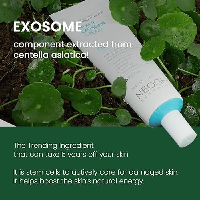 DERMALOGY by NEOGENLAB [K-Beauty]NEOGEN DERMALOGY High R Exosome Cream (1.36 fl oz)/korean skincare/Hydration & Skin Nourishment - Image 4