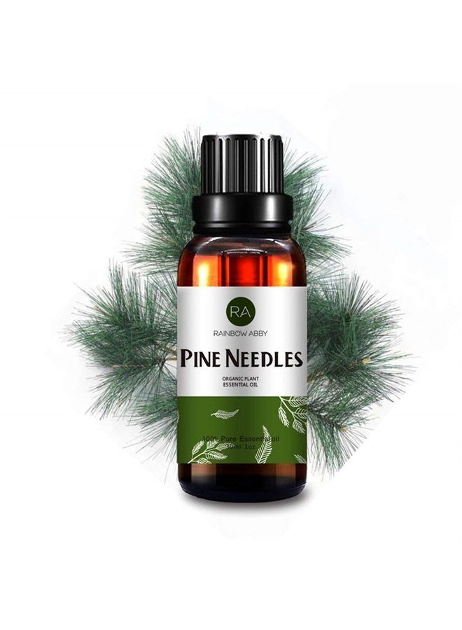 Rainbow Abby Pine Needles Essential Oil (30ML), 100% Pure Natural Organic Aromatherapy Pine Needles Oil for Diffuser, Massage, Skin Care, Yoga, Sleep - Image 1