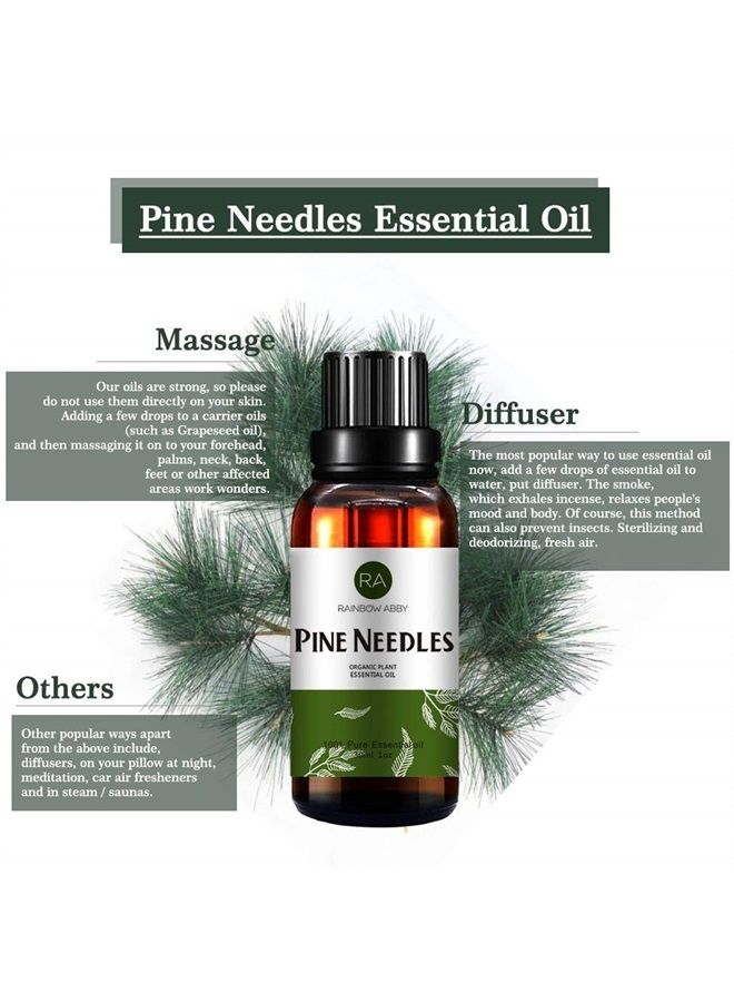 Rainbow Abby Pine Needles Essential Oil (30ML), 100% Pure Natural Organic Aromatherapy Pine Needles Oil for Diffuser, Massage, Skin Care, Yoga, Sleep - Image 2
