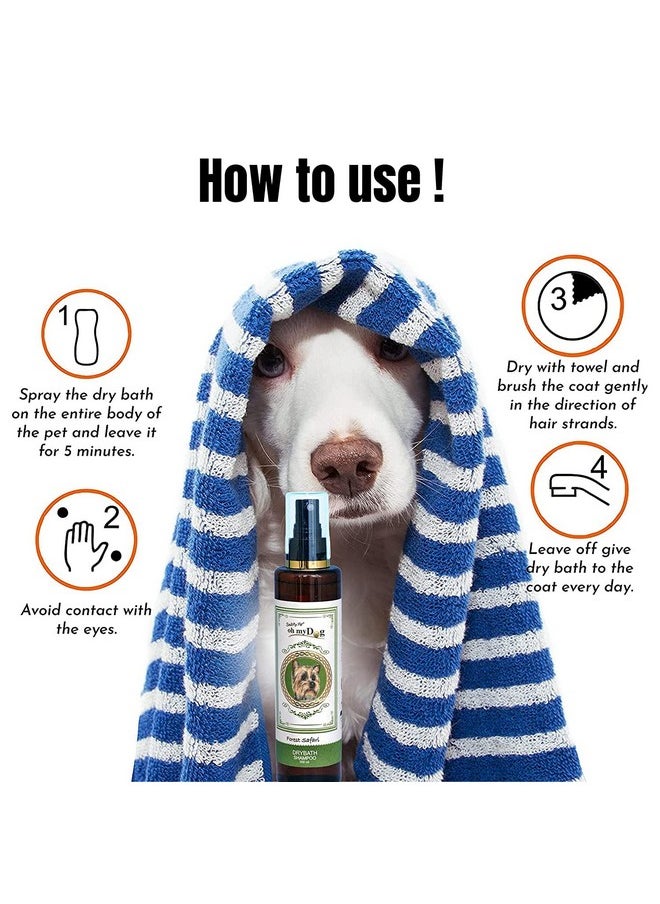 بت شامبو استحمام جاف للحيوانات الأليفة من Oh My Dog Forest Safari للكلاب والجراء والقطط والقطط الصغيرة لجميع أنواع الشعر مع مكونات طبيعية فعالة 200 مل (عبوة من قطعة واحدة)  - Image 4