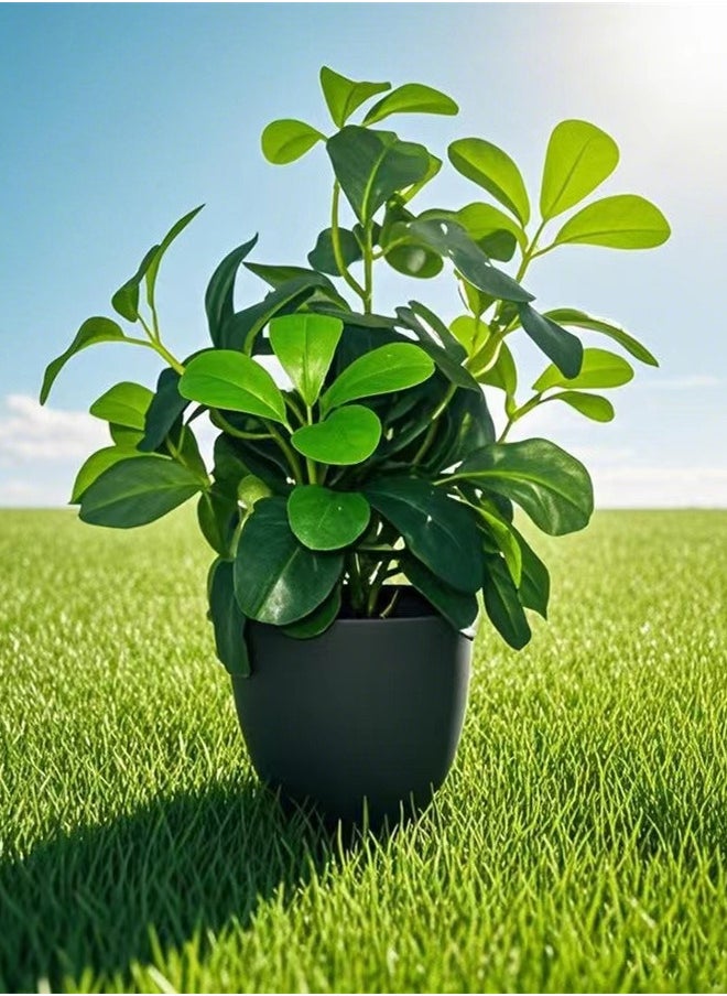 Kutis 1-Piece Artificial Plant With Pot For Home Desktop Decoration Green/Black 10x33 Centimeter  - Image 2