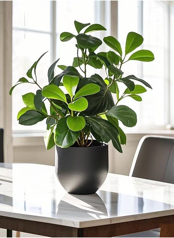 Kutis 1-Piece Artificial Plant With Pot For Home Desktop Decoration Green/Black 10x33 Centimeter  - Image 3