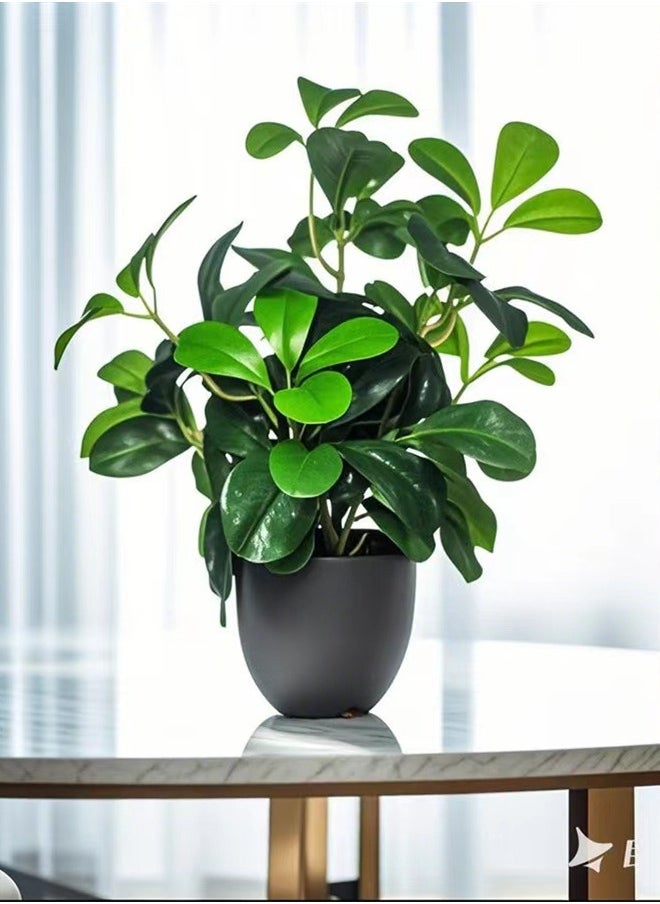 Kutis 1-Piece Artificial Plant With Pot For Home Desktop Decoration Green/Black 10x33 Centimeter  - Image 4