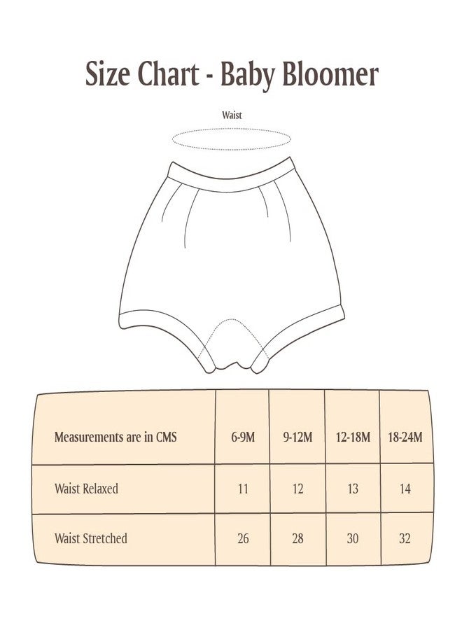 superbottoms Basic™ Bloomer for Kids | Unisex, 100% Pure Cotton Innerwear | Breathable & Soft Kids Underwear | Baby Bloomers for 2-3y | Colors May Vary Or Can be Similar| Pack of 3 Assorted - Image 5