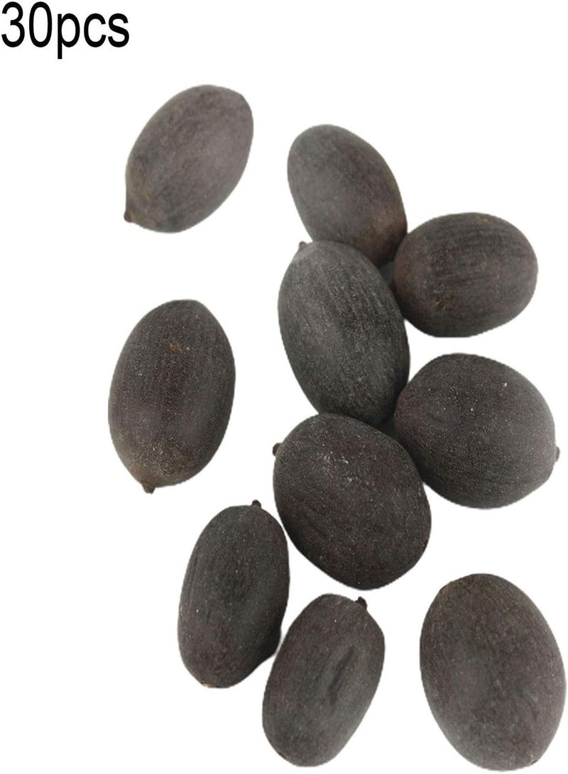GGOOT 1 Bag Lotus Seeds Mini Non GMO Mixed Bonsai Lotus Bowl Seeds for Garden - Bowl Lotus Seeds - Flower Seeds Vegetable Seeds Fruit Seeds Garden Plant Seeds  - Image 5