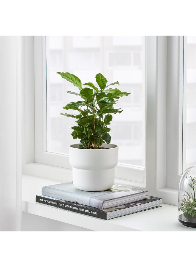 Zaboon Plant Pot, In/Outdoor White, 12 Cm - Image 4