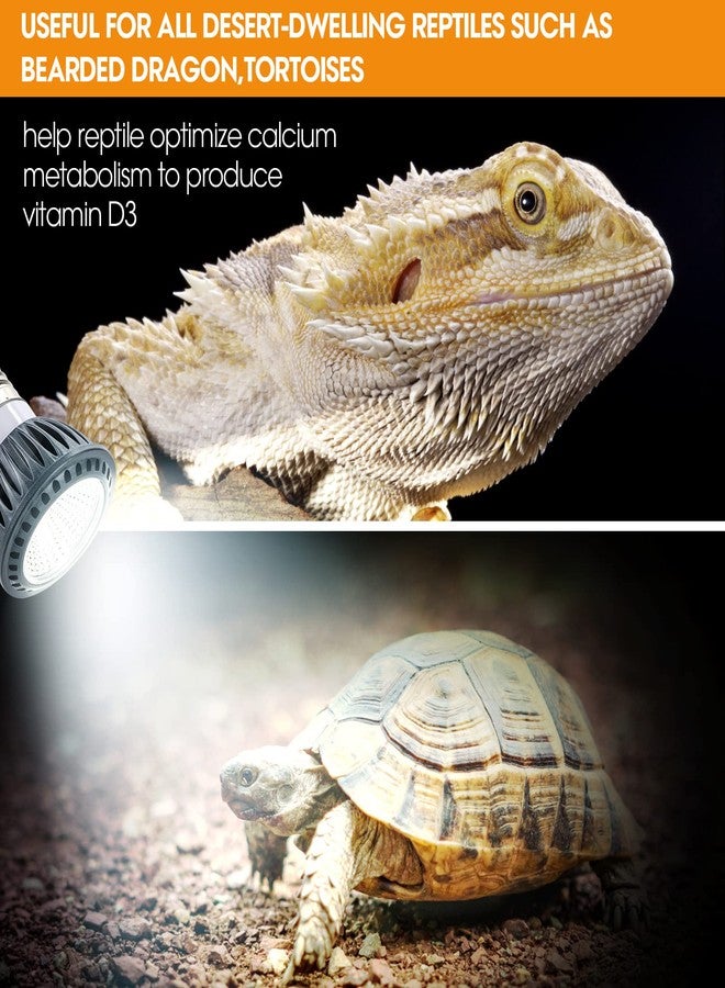 GeeKoit Premium High-Intensity UVB Reptile Light for Optimal Calcium Metabolism,5-Watt 10.0 Desert UVB Light Ideal for Desert-Dwelling Reptiles Bearded Dragons Tortoises - Image 3