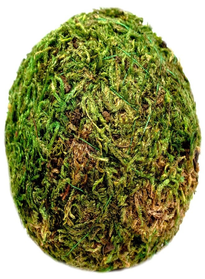SuperMoss (25440) Moss Ball, Fresh Green, 2" Pack of 4 - Image 1