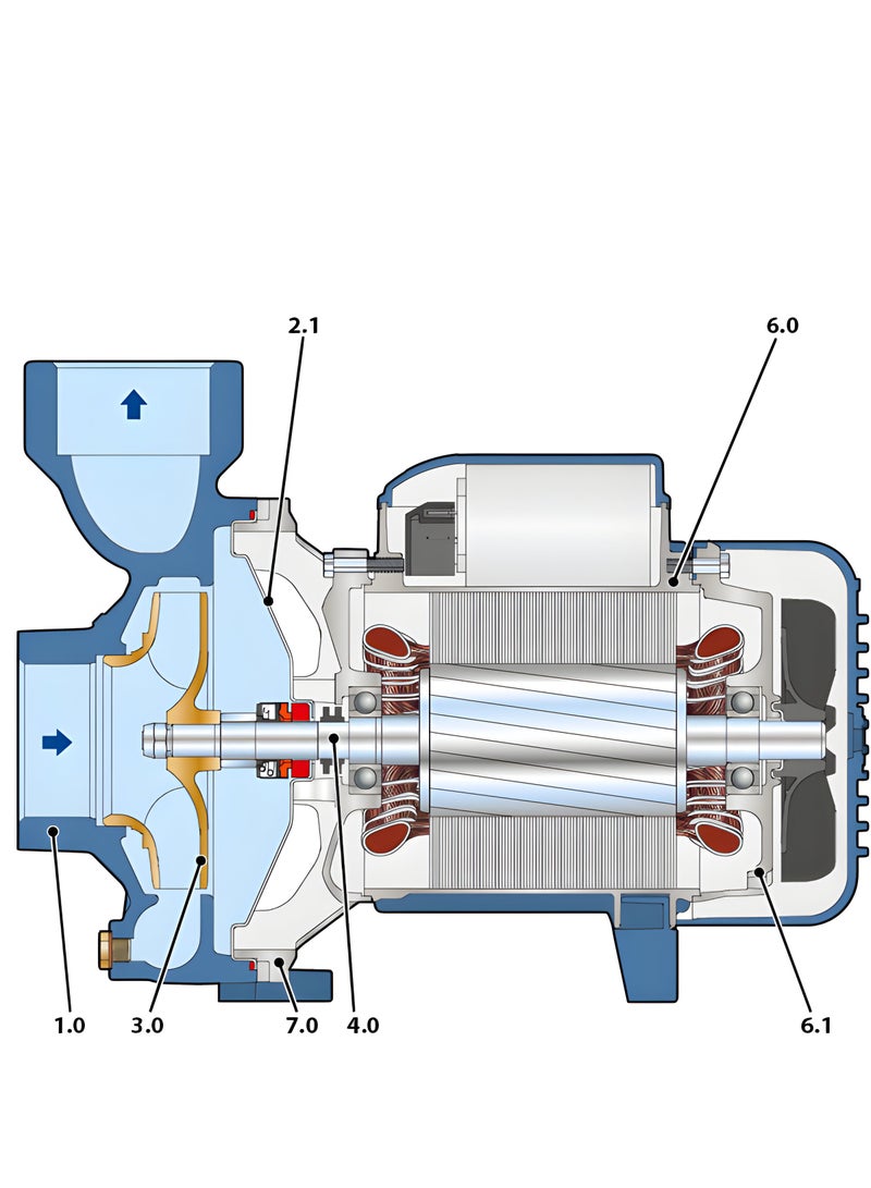 1 HP Water Pump Blue Pedrollo Made in Italy