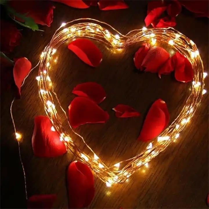 Fox & Fern Premium Extra-Long Solar String Lights-Auto |GAXLTDP5041 (100) LED | Waterproof, Copper Wire | Fairy Lights with 8 Modes (Pack of 1) (Warm White-Color Changing) - Image 5