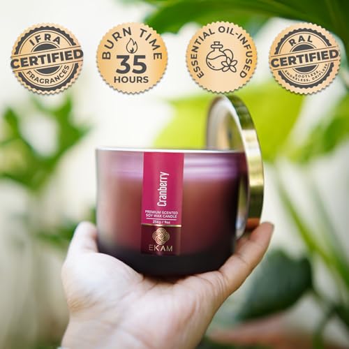EKAM 3 Wick Soy Wax Scented Candle | Cranberry Fragrance | 35 Hr Burn | Long Lasting Premium Jar Candle for Home Decor, Relaxation & Gifting - Image 2