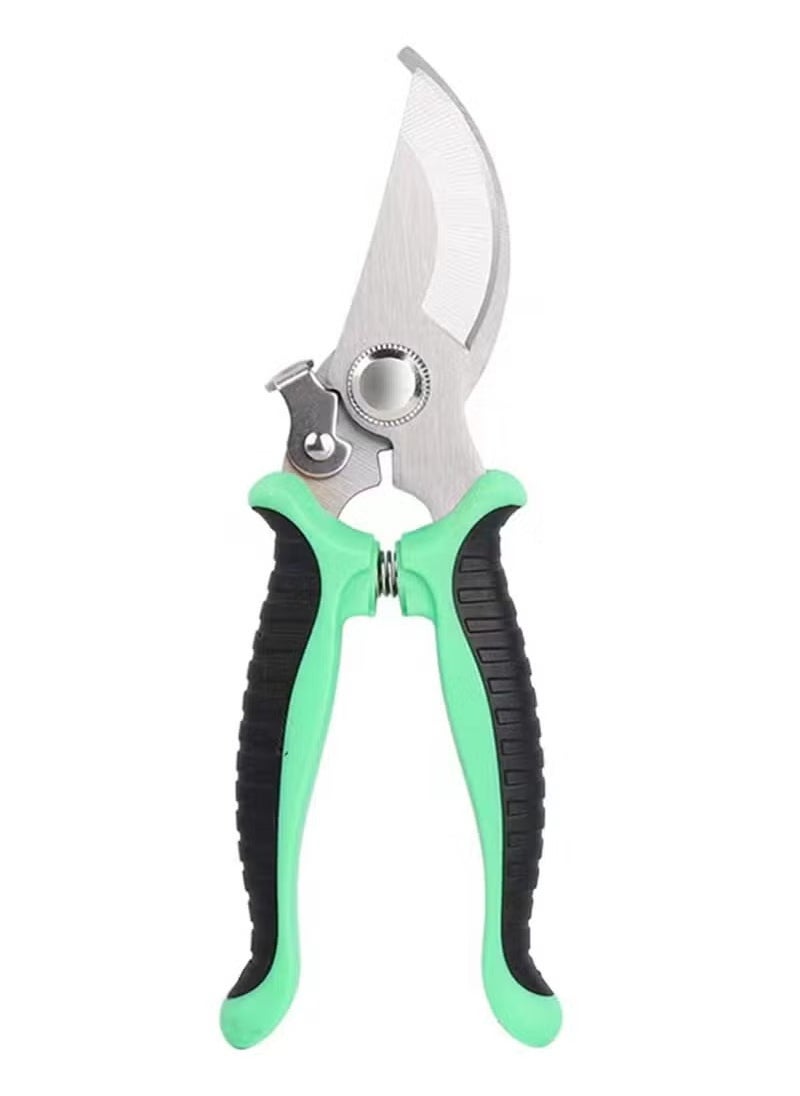 Generic Garden Pruning Shears, Hand Gardening Cutter, Professional Garden Scissors with Stainless Steel Blade,Ultra Sharp Scissors for Trimming, Fruits, Flowers, Plants, Green  - Image 1