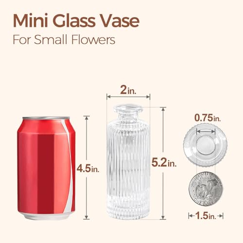 ComSaf Small Vases for Flowers Mini Clear Glass Bud Vases in Bulk, 5.2 inch Tall Mini Flower Vase, Vases for Centerpiece, Ribbed Vase, Wedding Table Ceterpiece, Home Decor, Housewarming Gift (Clear) - Image 3