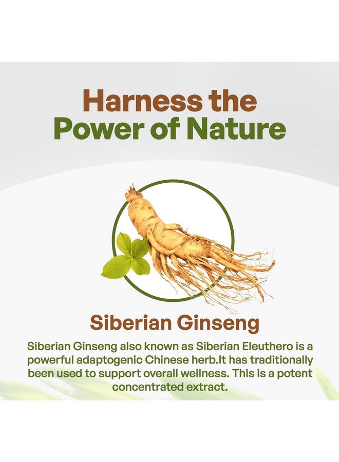 Go Nutra Siberian Ginseng Powder 4:1 Extract 4X Times Stronger Non-GMO 1lb (16 oz) Eleuthero Root - Image 3