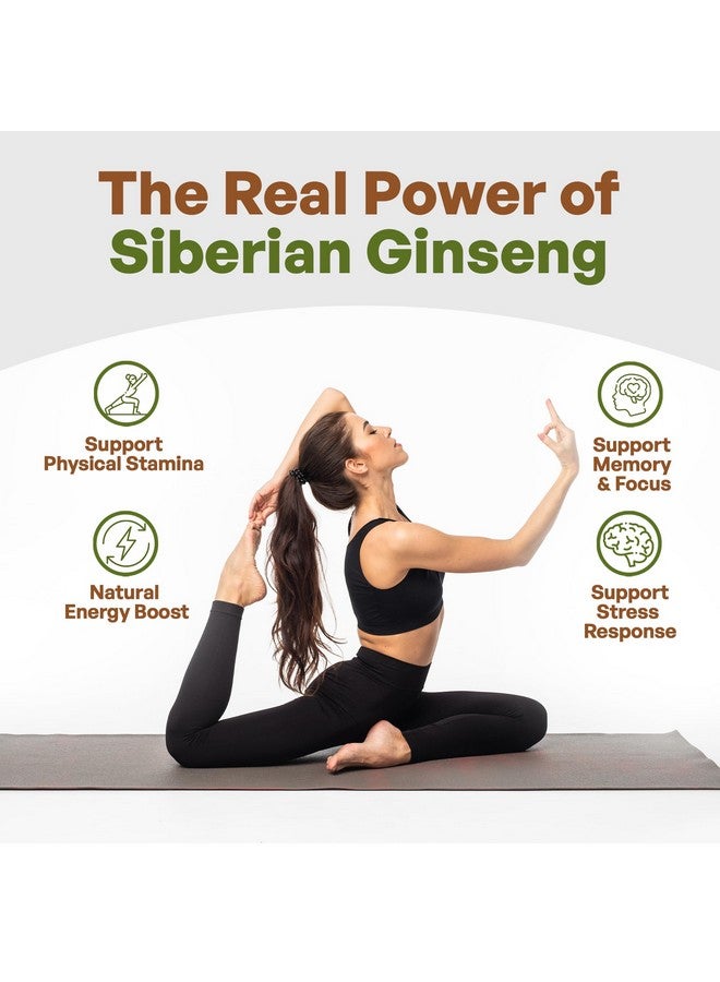 Go Nutra Siberian Ginseng Powder 4:1 Extract 4X Times Stronger Non-GMO 1lb (16 oz) Eleuthero Root - Image 4