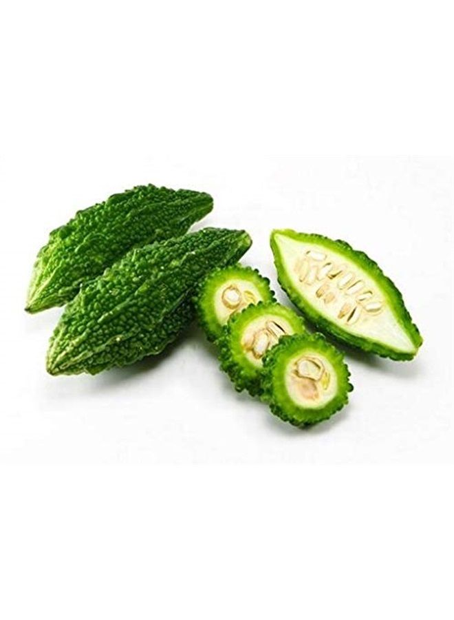 MB Herbals De-Seeded Karela Powder 227g (Half Pound) | 100% Pure Bitter Melon Powder | Momordica charantia Fr. | No Preservatives | Non GMO | Gluten Free - Image 3
