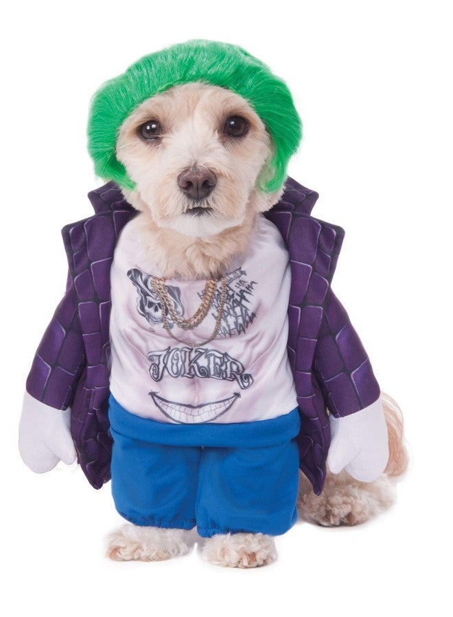 زي روبيز للحيوانات الأليفة من دي سي كوميكس، فرقة انتحارية، شخصية الجوكر، صغير