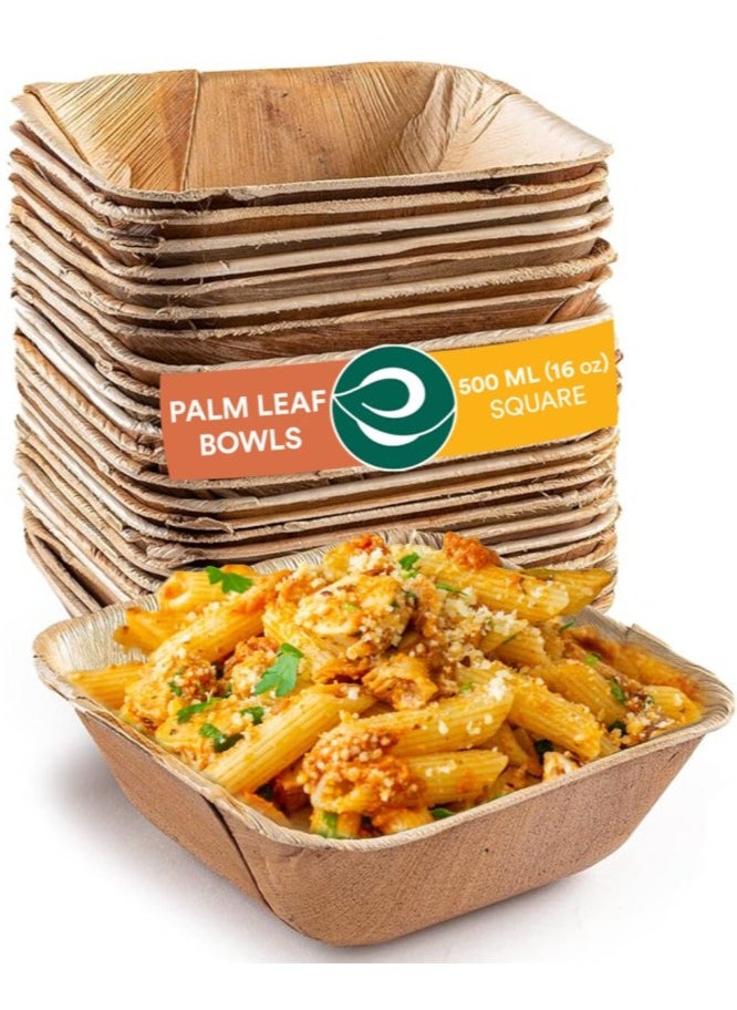 ECO SOUL Palm Leaf Bowl, 16 oz Square, 10 Pc  - Image 1
