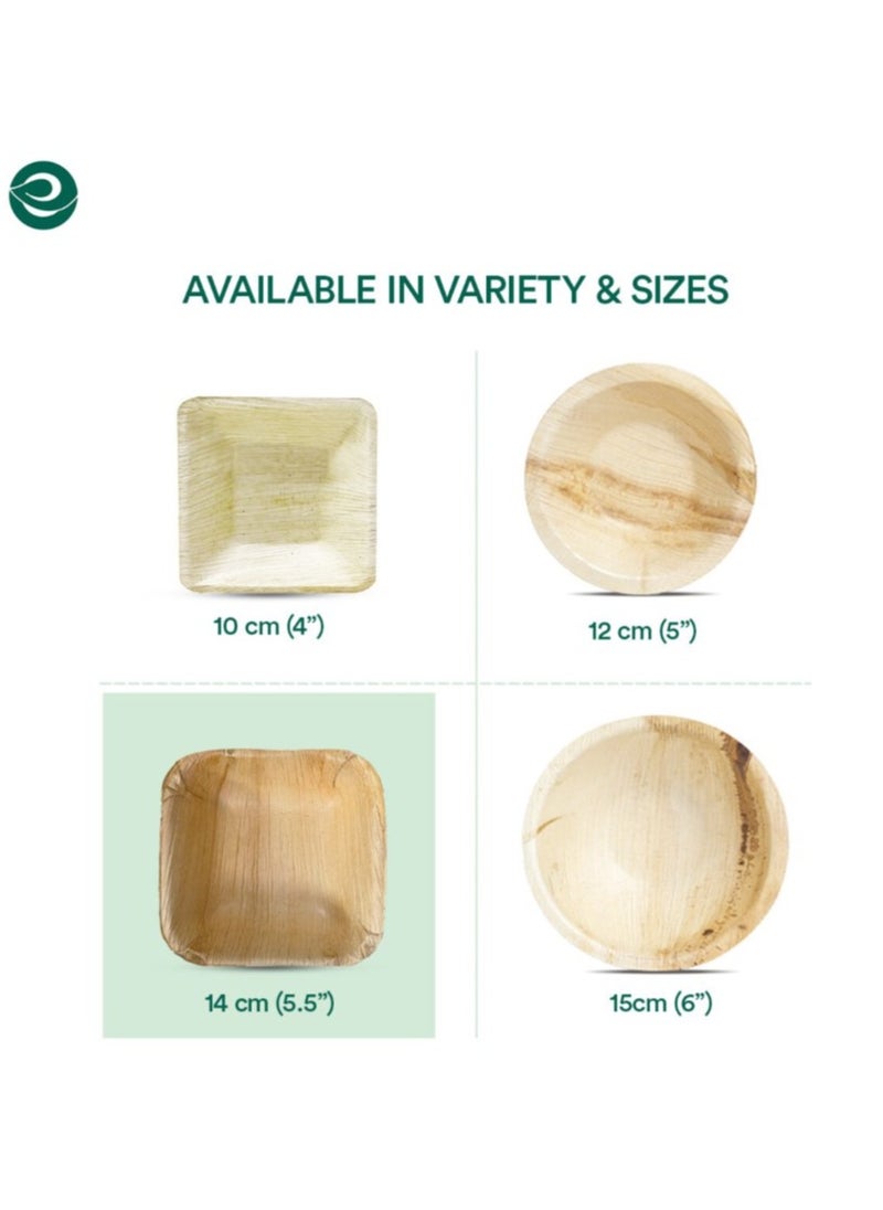 ECO SOUL Palm Leaf Bowl, 16 oz Square, 10 Pc  - Image 4