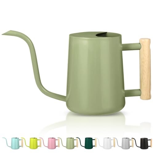 GUKJOB Watering Can Indoor Plants 35oz Small Indoor Stainless Steel Metal Watering Can Modern Decorative Watering Pot with Long Spout for Indoor House Plant Bonsai Garden Flowers Sage Green - Image 1