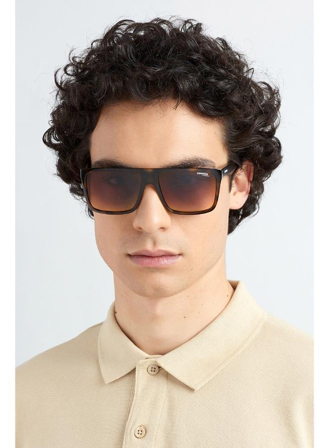 كاريرا نظارات شمسية كاريرا - Image 5