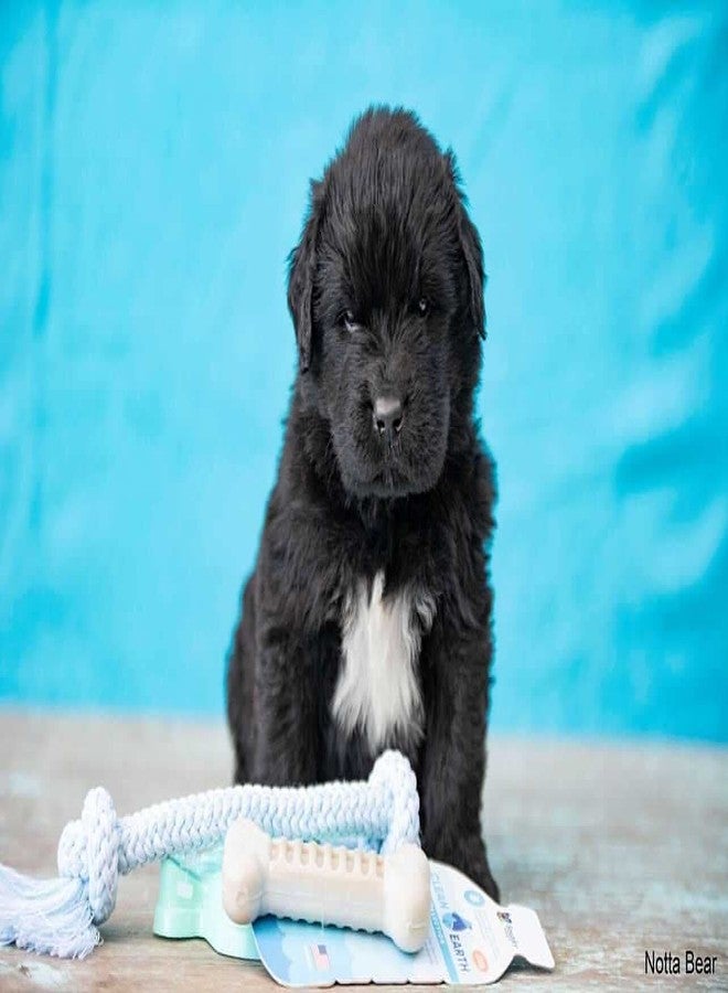 Spunky Pup Clean Earth Recycled Rope Dog Toy | Made in USA| Made from 100% Recycled Water Bottles, Medium,Blue,7122 - Image 2