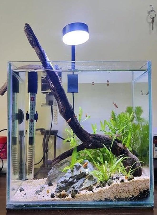 KSH STORE KSH Aquarium LED Light with on/Off Switch for Nano Mini Small Fish Tank, Black, Clip-On, 360° Flexible Arm, 180° Wide Beam, Blue and White Spectrum 3W LY-008 - Image 5