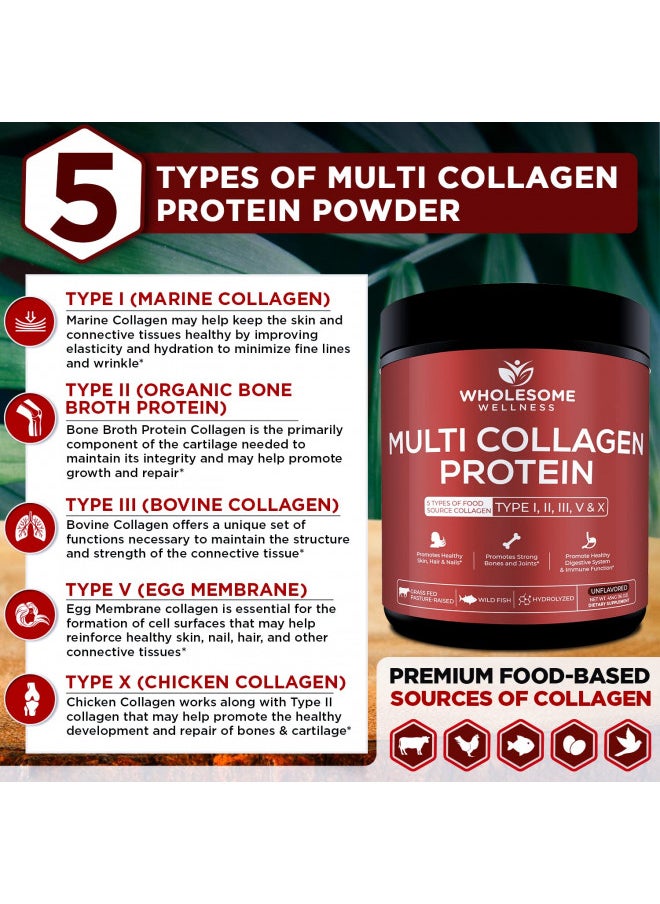 Wholesome Wellness Multi Collagen Protein Powder Hydrolyzed (Type I II III V X) Grass-Fed All-in-One Super Bone Broth + Collagen Peptides - Premium Beef, Chicken, Wild Fish, Eggshell Collagen - pzsku/Z7DF51A57F58D44AA41ADZ/45/_/1727378358/63c455d1-4ae4-4dd5-a193-53419bc34de7