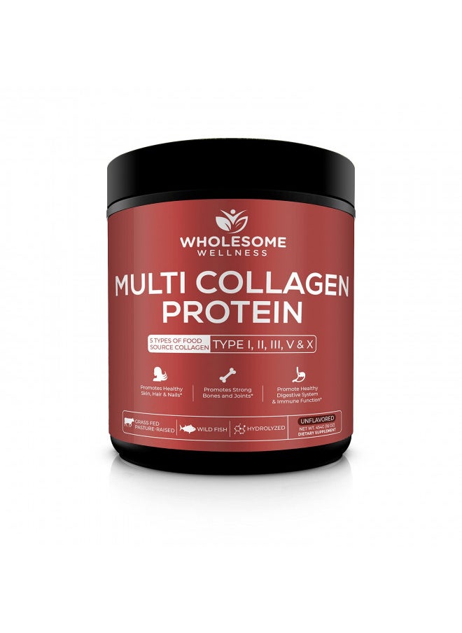 Wholesome Wellness Multi Collagen Protein Powder Hydrolyzed (Type I II III V X) Grass-Fed All-in-One Super Bone Broth + Collagen Peptides - Premium Beef, Chicken, Wild Fish, Eggshell Collagen - pzsku/Z7DF51A57F58D44AA41ADZ/45/_/1727378404/745ddd6c-9bf1-4a71-a424-b28d7c1baba8