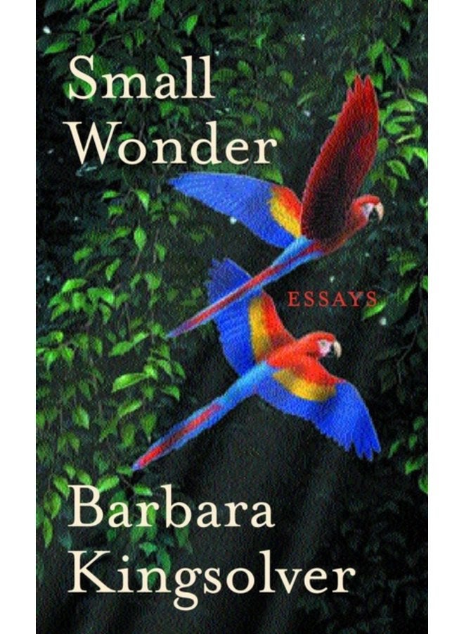 Small Wonder Author of Demon Copperhead Winner of the Women s Prize for Fiction - Paperback