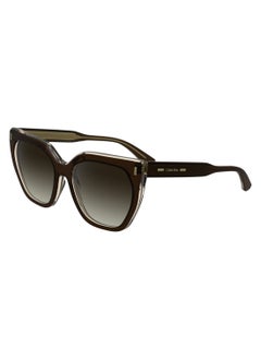CALVIN KLEIN FULL RIM ACETATE ACETATE CALVIN KLEIN SUN CK24535S 5517 (226) BROWN/LIGHT BROWN  - Image 1