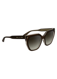 CALVIN KLEIN FULL RIM ACETATE ACETATE CALVIN KLEIN SUN CK24535S 5517 (226) BROWN/LIGHT BROWN  - Image 3