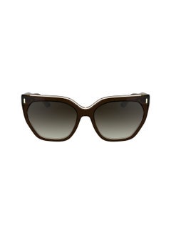 CALVIN KLEIN FULL RIM ACETATE ACETATE CALVIN KLEIN SUN CK24535S 5517 (226) BROWN/LIGHT BROWN  - Image 2