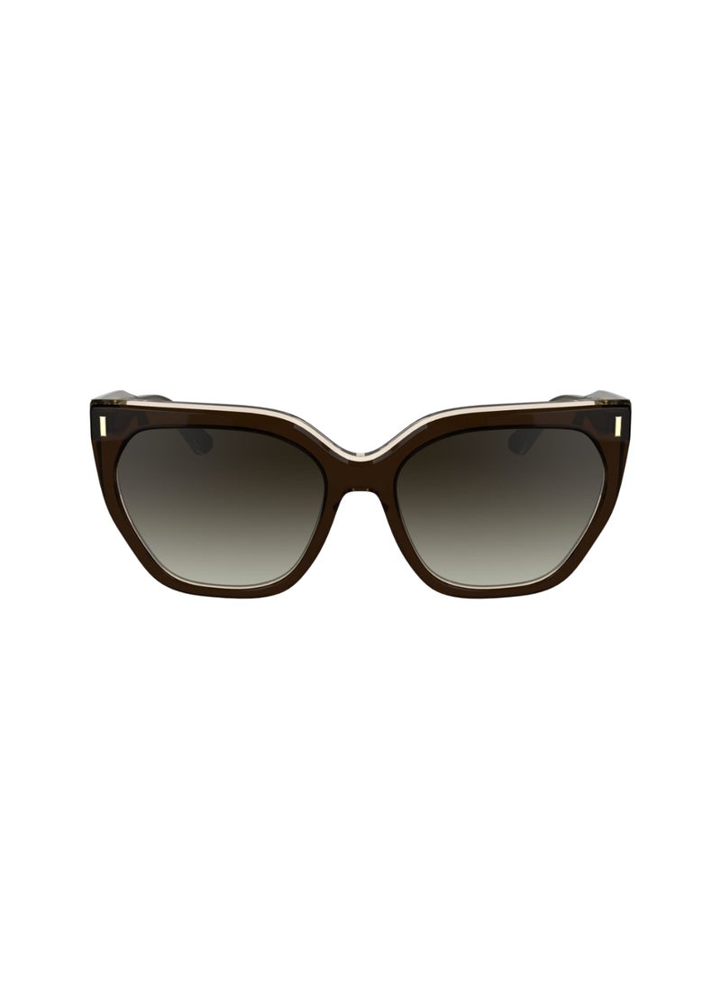 CALVIN KLEIN - FULL RIM ACETATE ACETATE CALVIN KLEIN SUN CK24535S 5517 (226) BROWN/LIGHT BROWN - Image 1