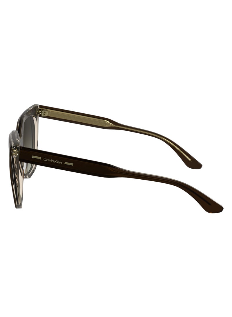 CALVIN KLEIN - FULL RIM ACETATE ACETATE CALVIN KLEIN SUN CK24535S 5517 (226) BROWN/LIGHT BROWN - Image 1