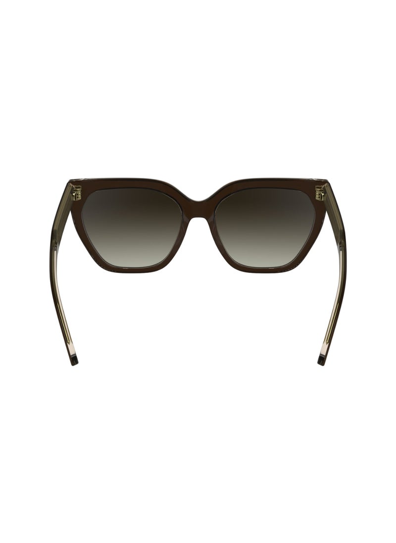 CALVIN KLEIN - FULL RIM ACETATE ACETATE CALVIN KLEIN SUN CK24535S 5517 (226) BROWN/LIGHT BROWN - Image 1