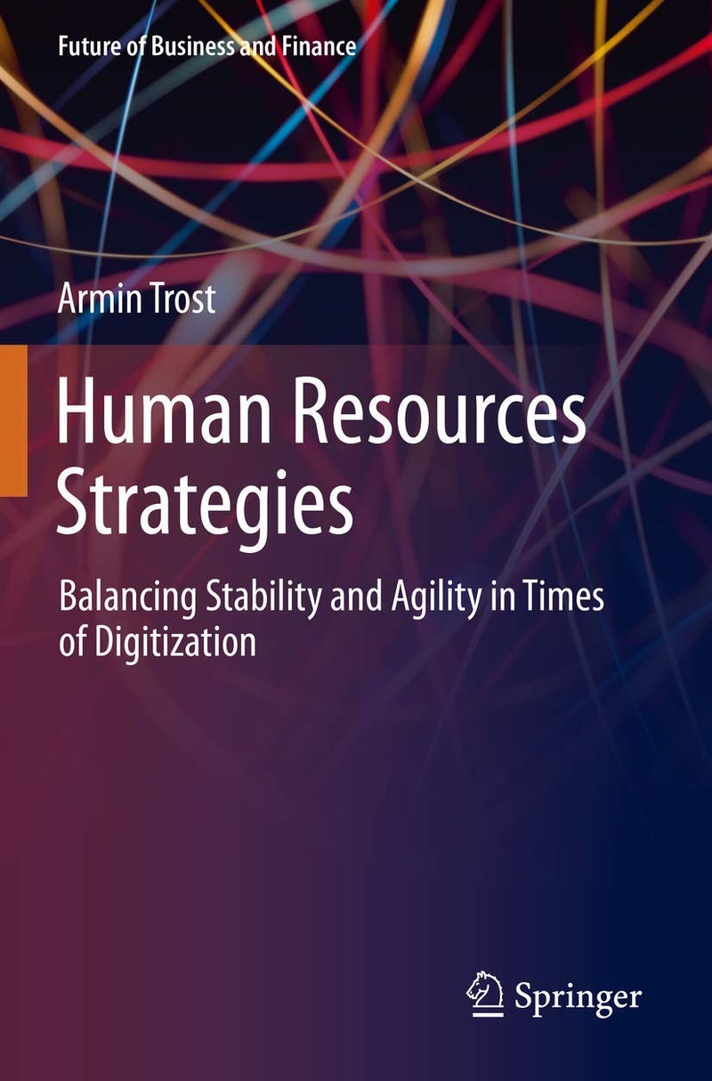 Springer Human Resources Strategies: Balancing Stability and Agility in Times of Digitization 