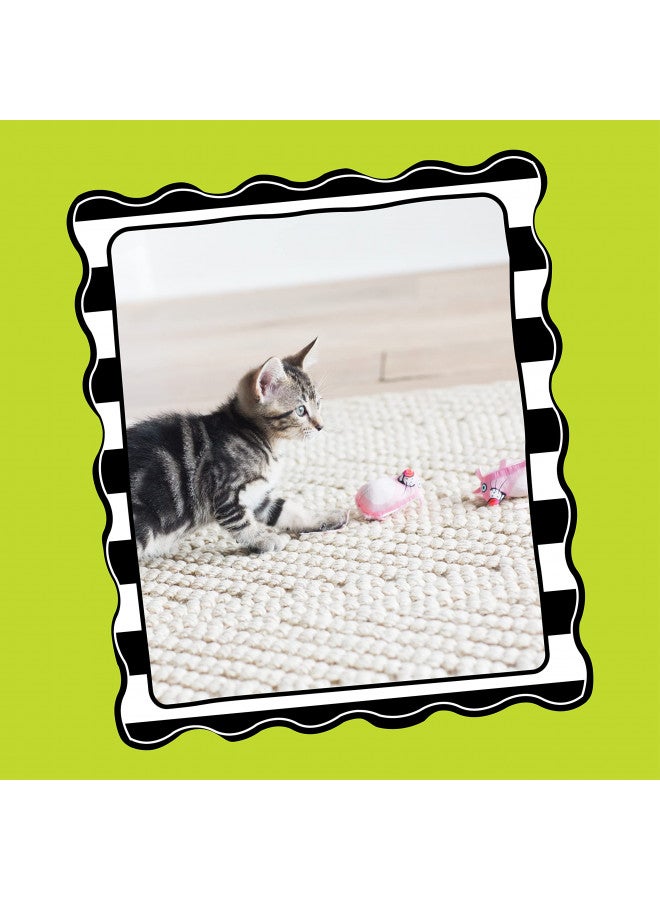 Doskocil Bamboo Pet CAM650384 Fat Cat Kitty Hoots Eeeks Chic Catnip Toy, Multicolor - Image 2