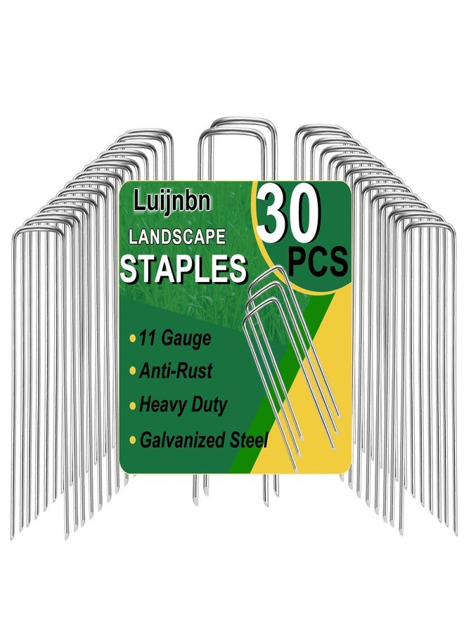 Luijnbn 30 Pack Lawn Staples, Premium Garden Landscape Staples, Galvanized Heavy-Duty Gauge Stakes, U-Shaped Tent Stakes, Anti-Rust Fence Netting Pins Ground Spikes, Sod Pins - Image 1